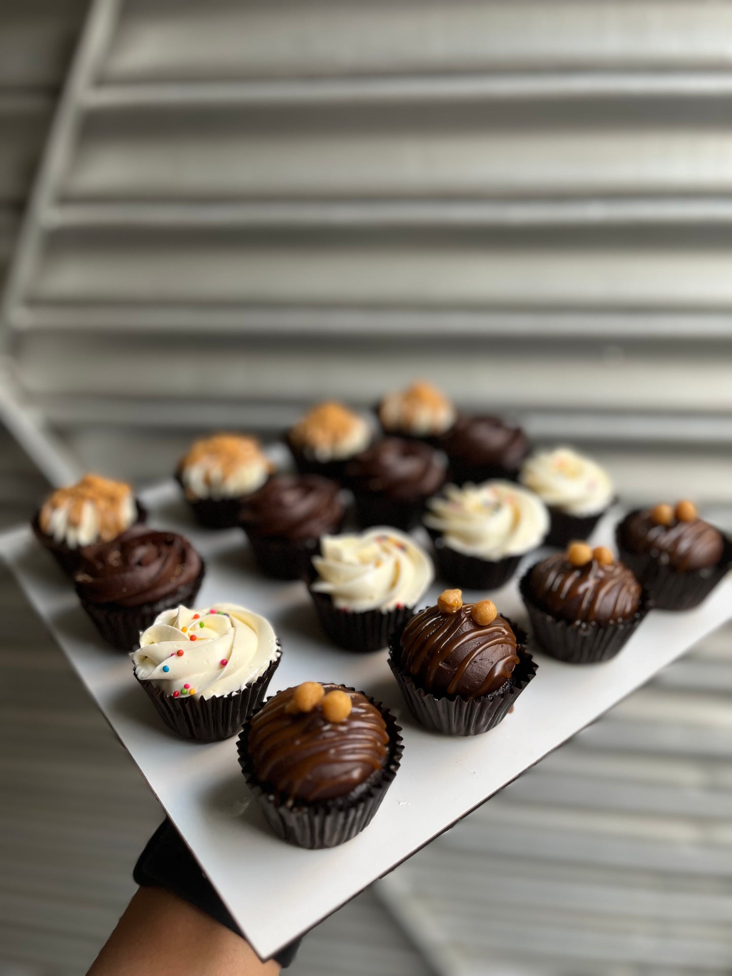 16 mini Cupcakes Tray