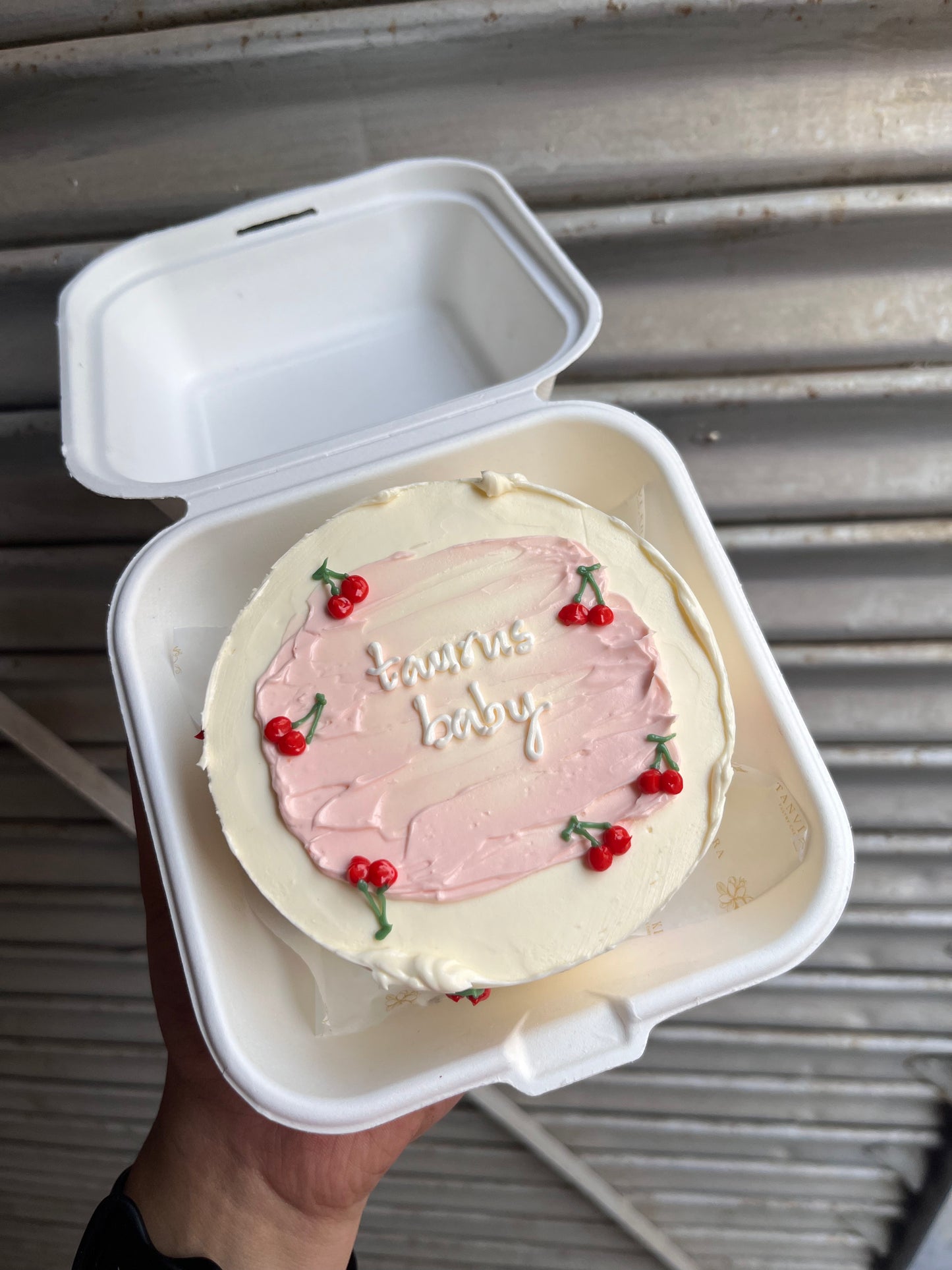 Shaded Cherry Bento Cake