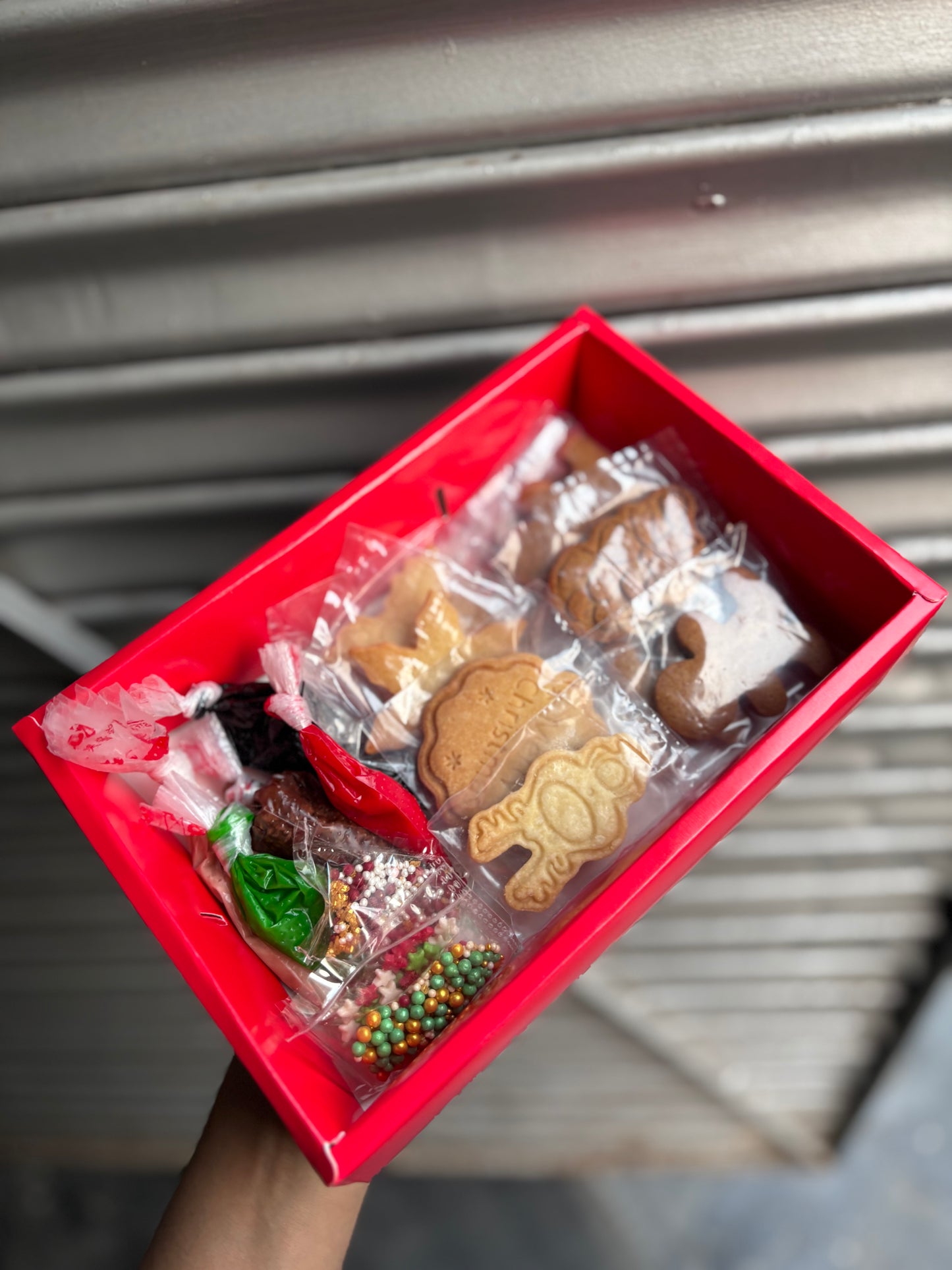 Vanilla Sable and Gingerbread DIY Cookie Decorating Kit